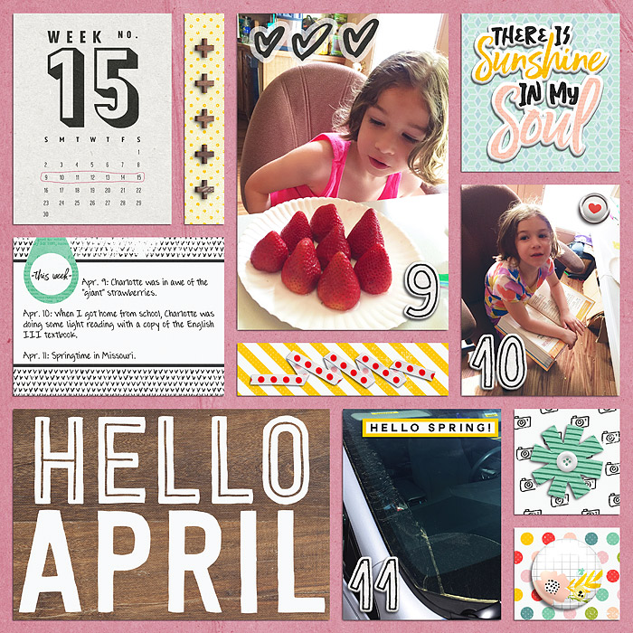 2017 P365 Week 15 Left