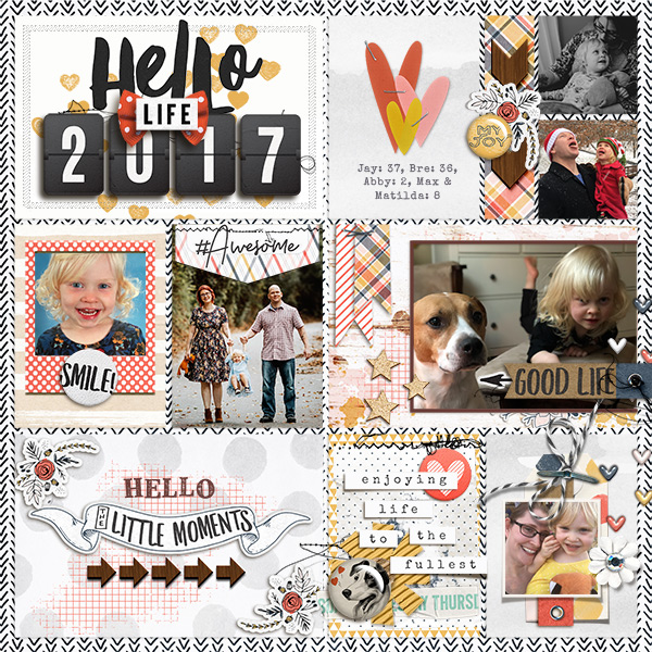 2017 PL Cover