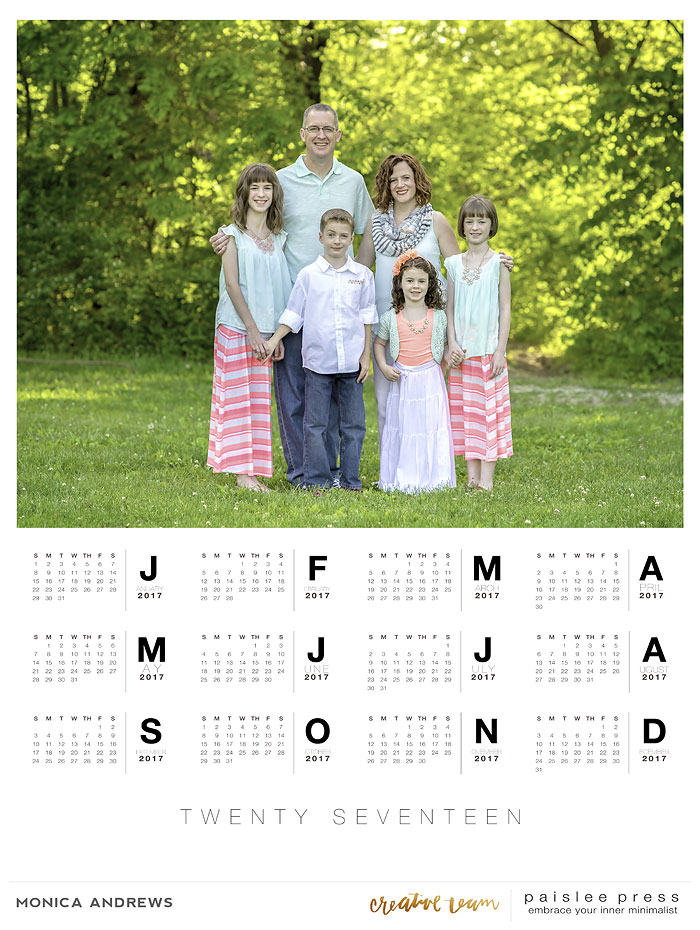 2017 Poster Calendar (16x20)