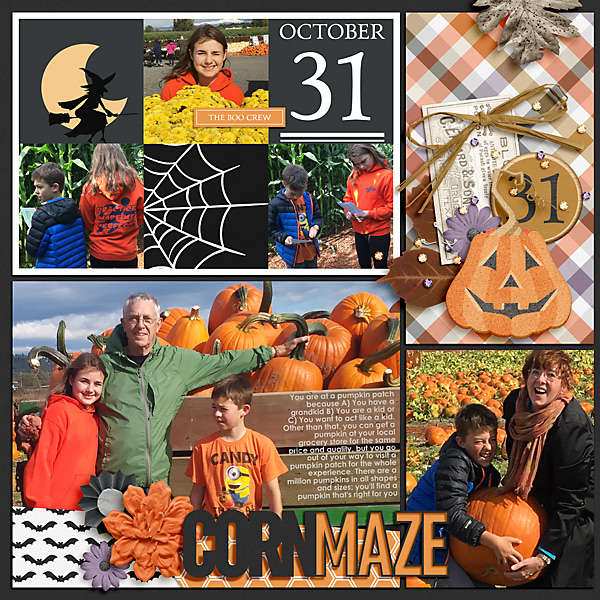 2017 Pumpkin Patch