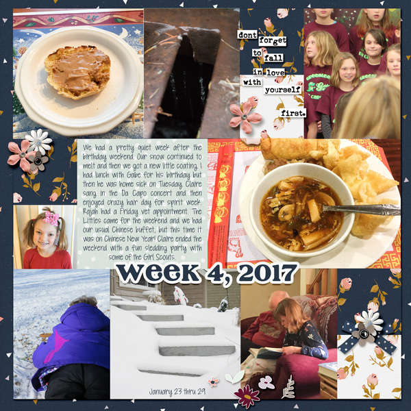 2017-Week-04-alabau_storygrids-v3_2