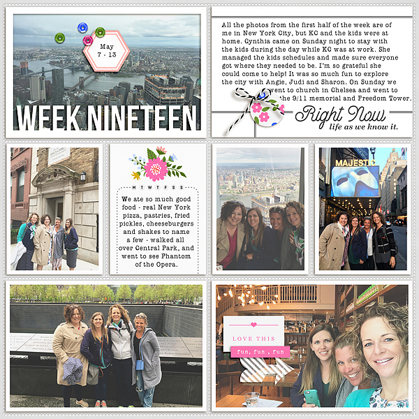 2017 week 19 - left side