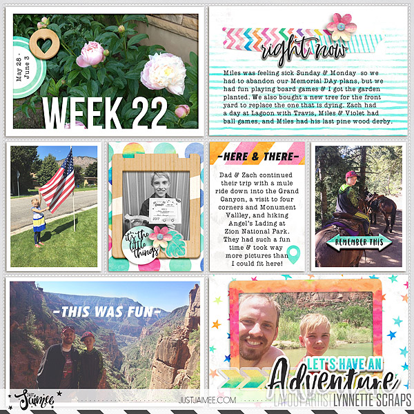 2017 week 22 - left side