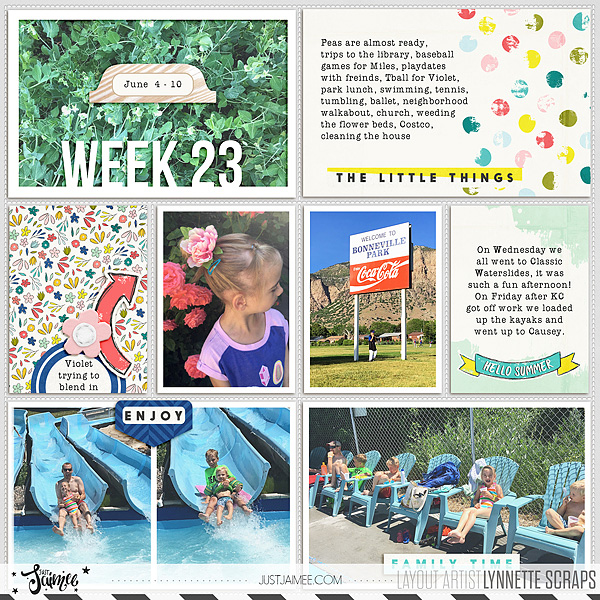 2017 week 23, left side