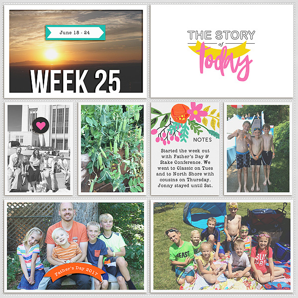 2017 week 25, left side