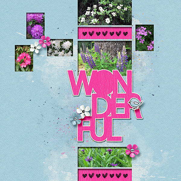 20170531_Wonderful flowers