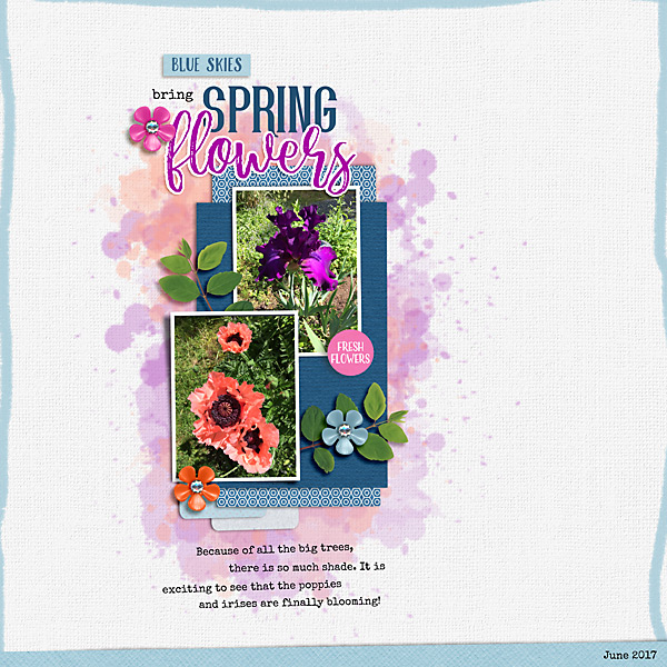 20170611_Spring flowers