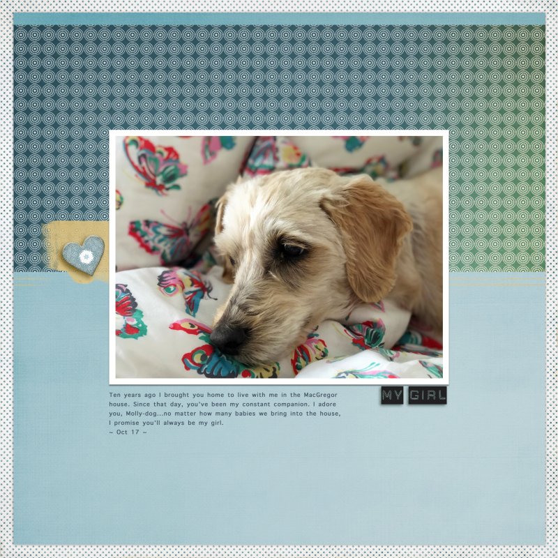20171001 Molly-dog