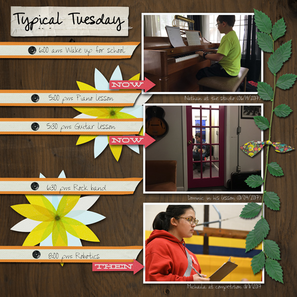 20171111_Typical Tuesday_600