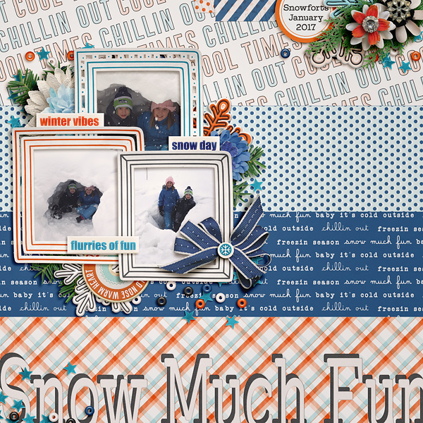 2017_1_Snow Much Fun_MOC17