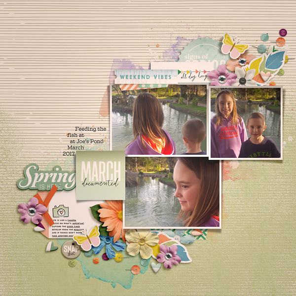 2017_3_Spring