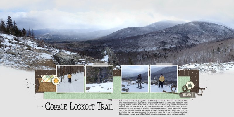 2017_Cobble_Lookout