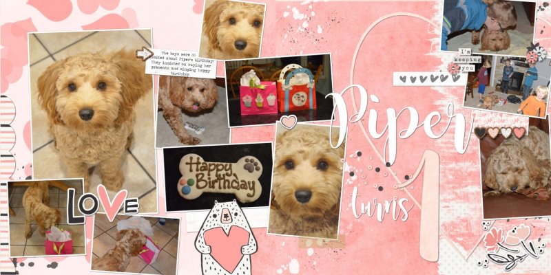 2018.02.07 Piper's Birthday