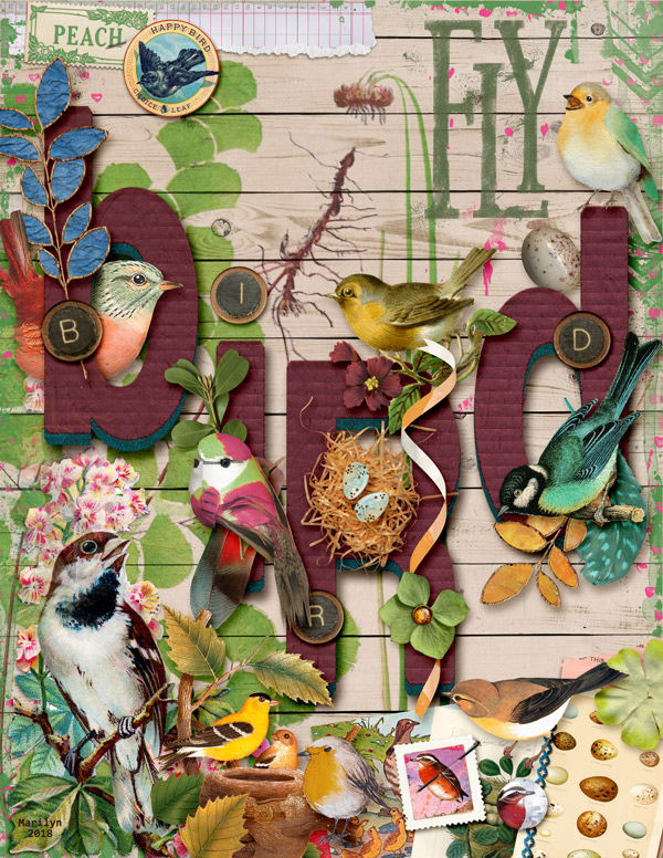 2018-02_February-TLP_AJ_3Week_Dressing-Up_Bird_web