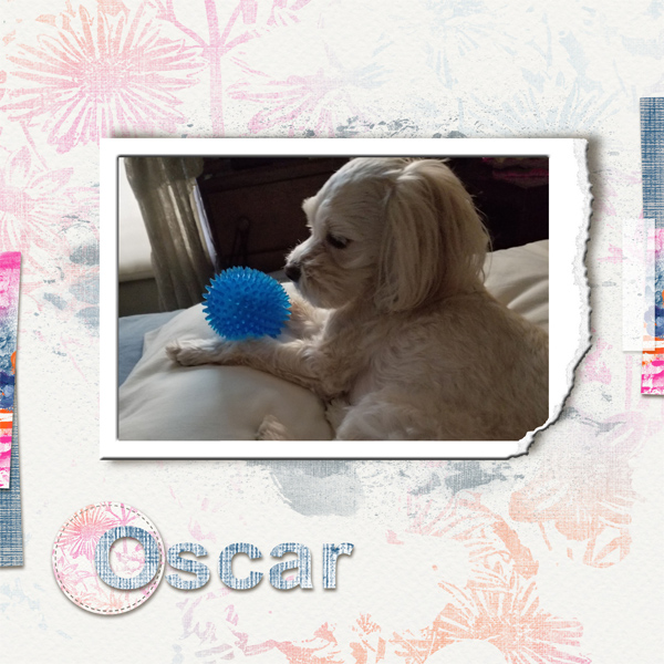 2018-05-02 Oscar 600x600 Dinskip_May18