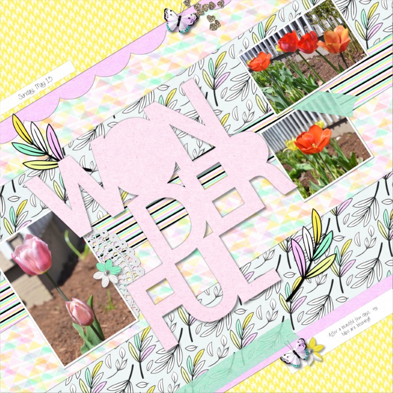 2018.05.13 Tulips