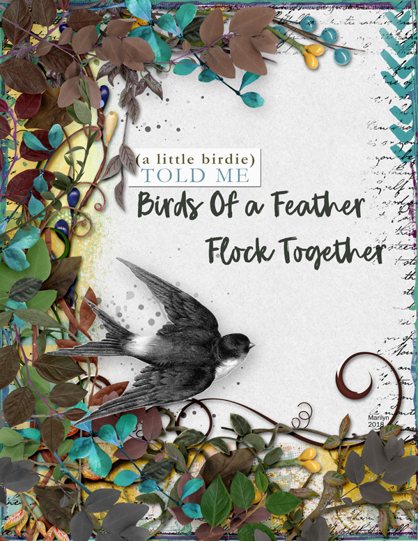 2018-06_June-TLP_AJ_1Week_Birds_web