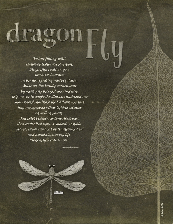 2018-06_June-TLP_AJ_2Week_Dragonfly_web