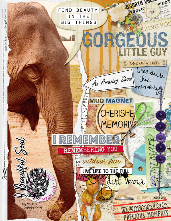 2018-08_August-TLP_Style_Collage_web