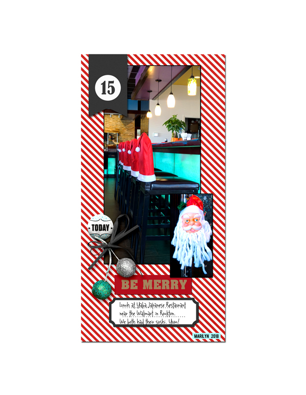 2018-12_December-TLP_DYD_15_b_web
