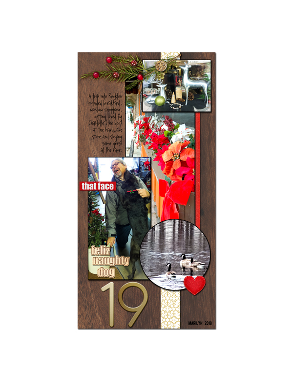 2018-12_December-TLP_DYD_19_web