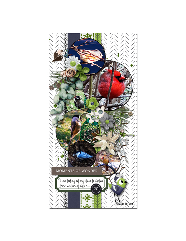 2018-12_December-TLP_DYD_20_birds_web