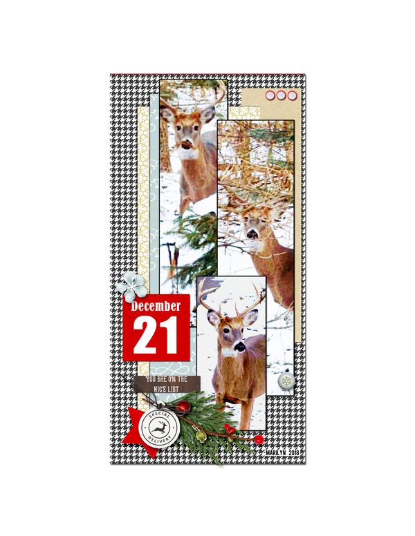 2018-12_December-TLP_DYD_21_deer_web