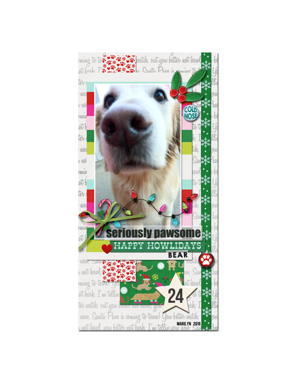 2018-12_December-TLP_DYD_24_bear_web