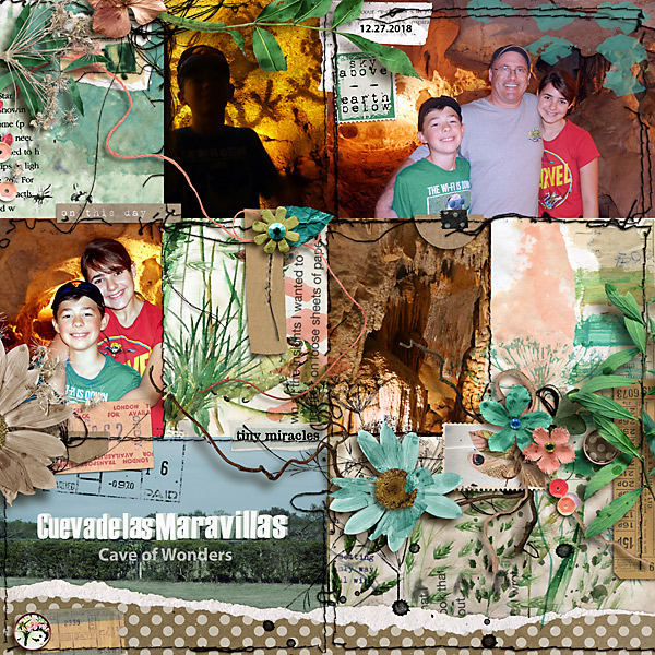 2018-Cave-of-Wonders-DR