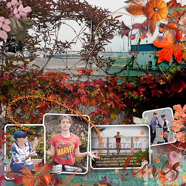 2018 Changing Color The Magic