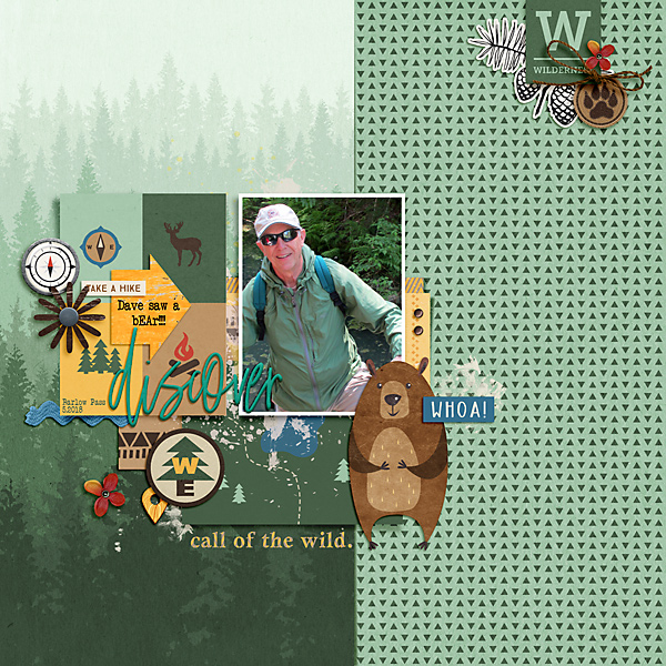 2018 Dave Saw A Bear