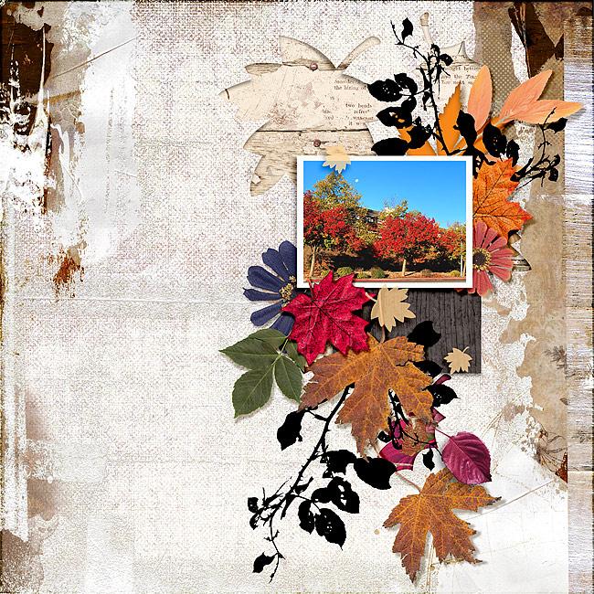 2018-Fall-colors-designer-Soco