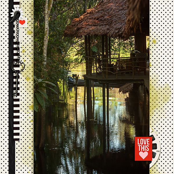 2018 ---Iquitos-&-Amazon--