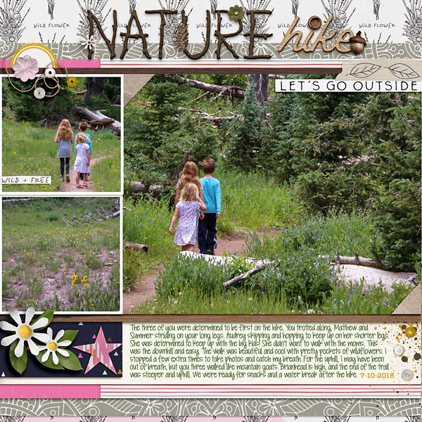 2018-Jul-Brianhead-Hike