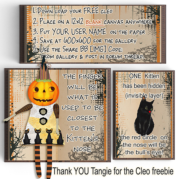 2018-rules-cleo-copy