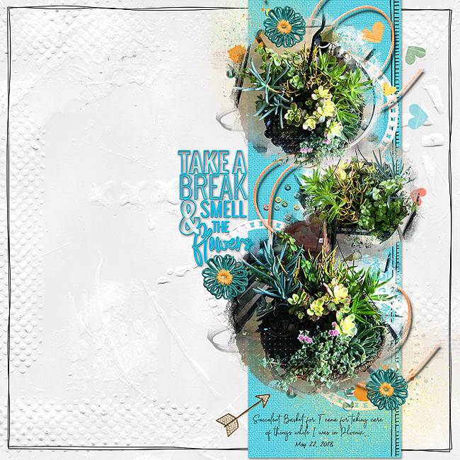 2018-Succulents-for-Teana