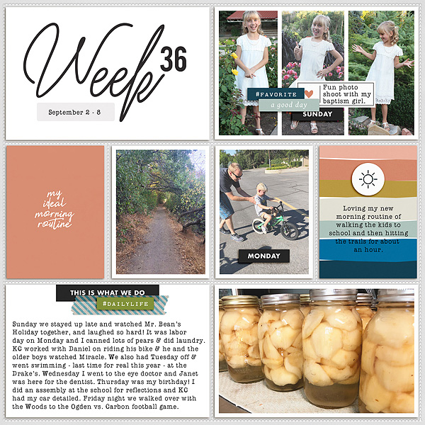 2018 Week 36 - left side