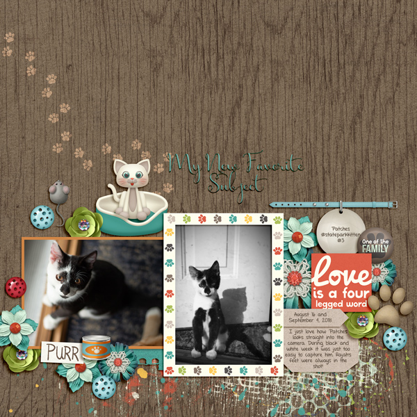 20180816 My New Favorite Subject