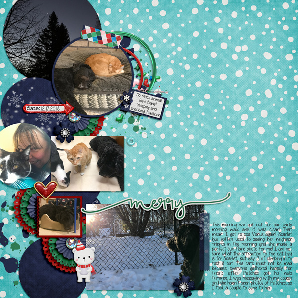 20181217-01-SwL-Sabrina_MOC2019Temp