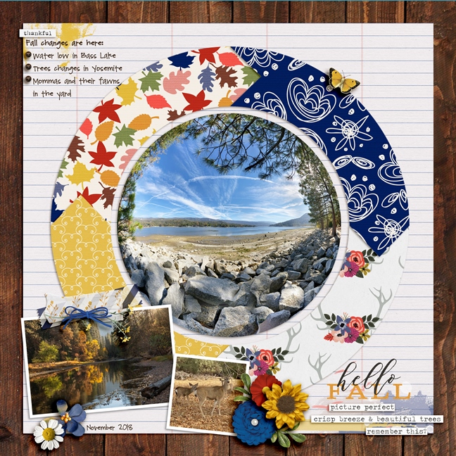 2018_11_Photography Challenge