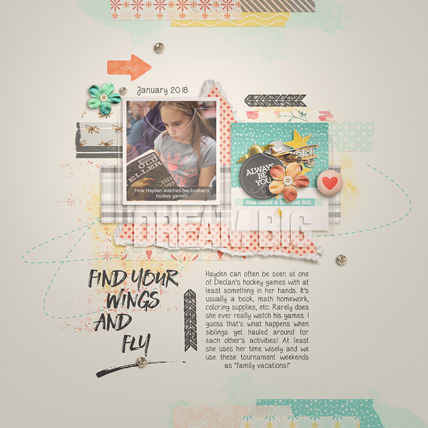 2018_1_Dream Big