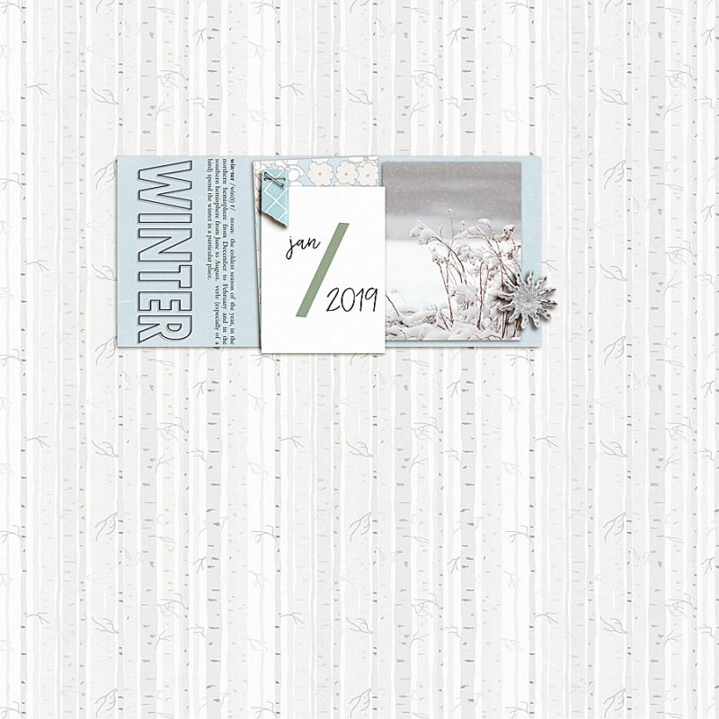 2019.01.11-WINTER