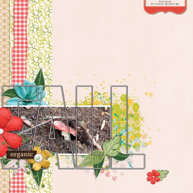 2019-04-05_Organic