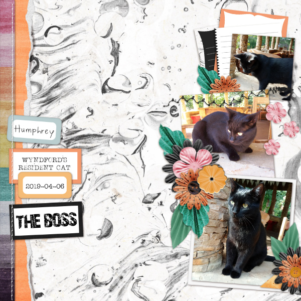 2019-04-06_TheBoss