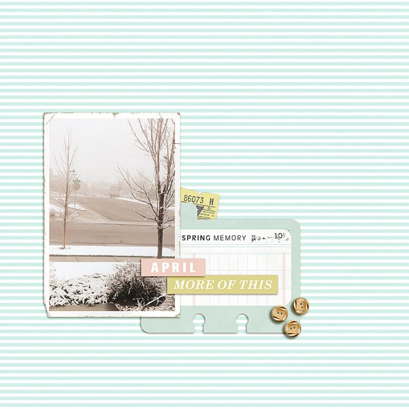 2019.04.12-MORE-SNOW