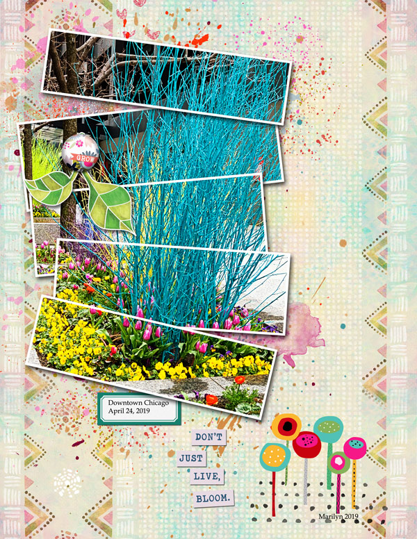 2019-05_May-TLP_Slow-Scrap_0522_web