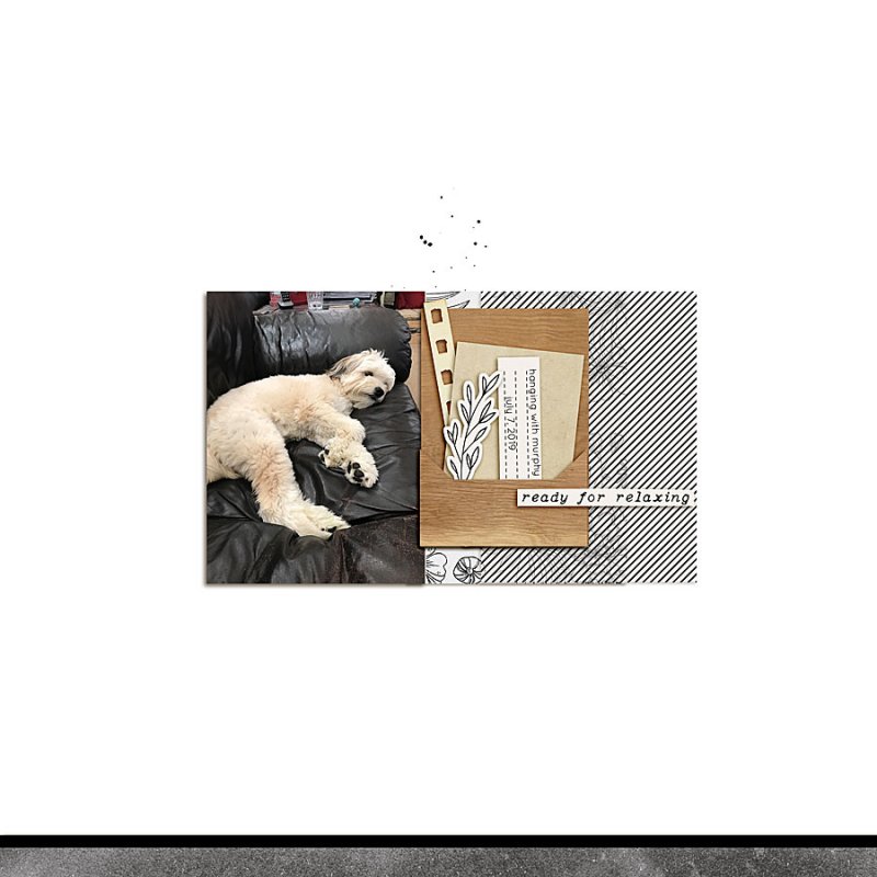 2019.07.07-Hanging-with-Murphy