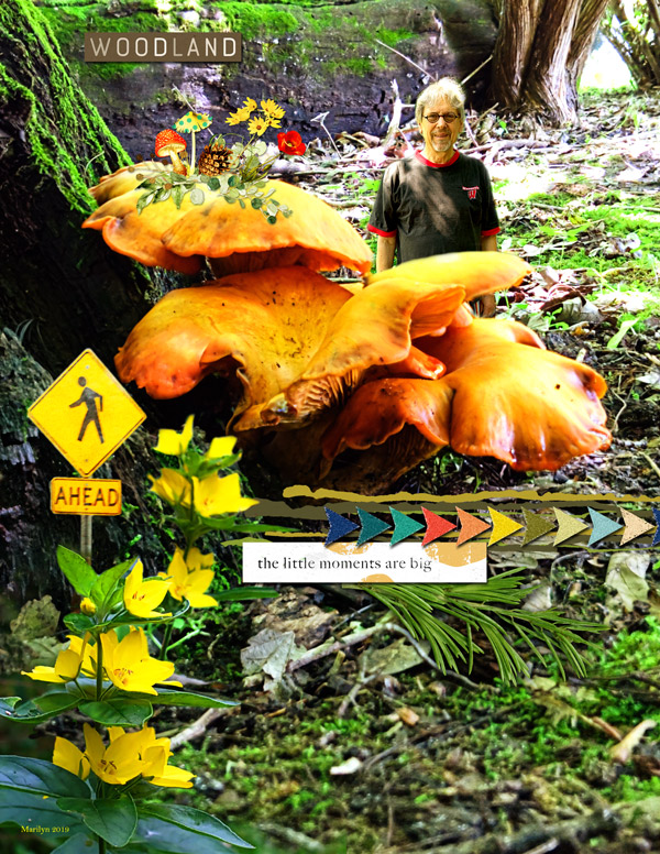 2019-11_November-TLP_AJ_04_Composite_web