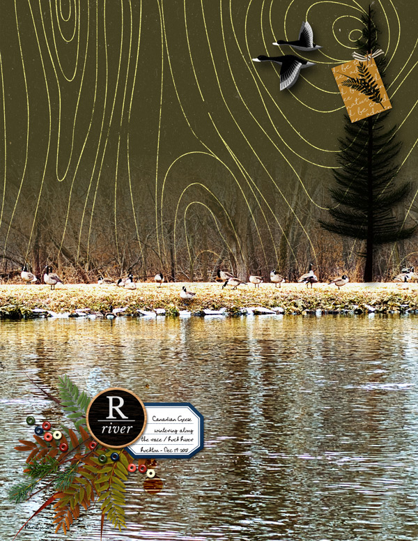 2019-11_November-TLP_Slow-Scrap_1107_web