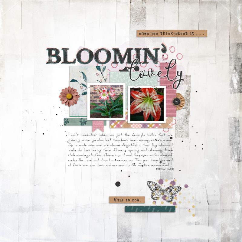 2019-12-26_BloominLovely